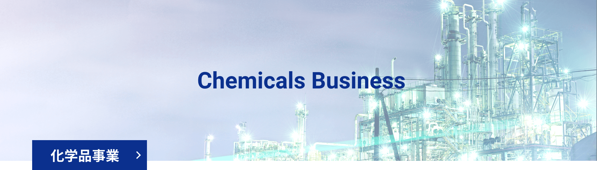 Chemicals Business 化学品事業